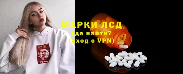 твердый Арсеньев