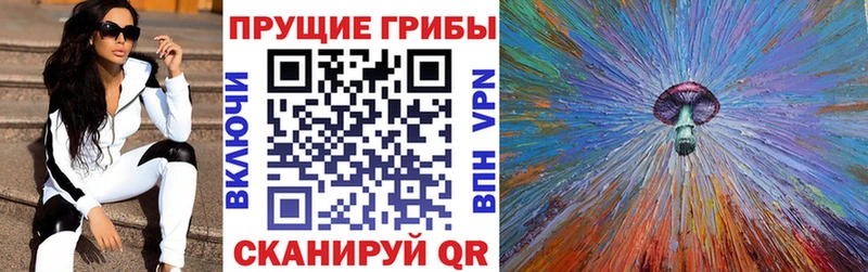 Купить Дмитровск Галлюциногенные грибы мухоморы